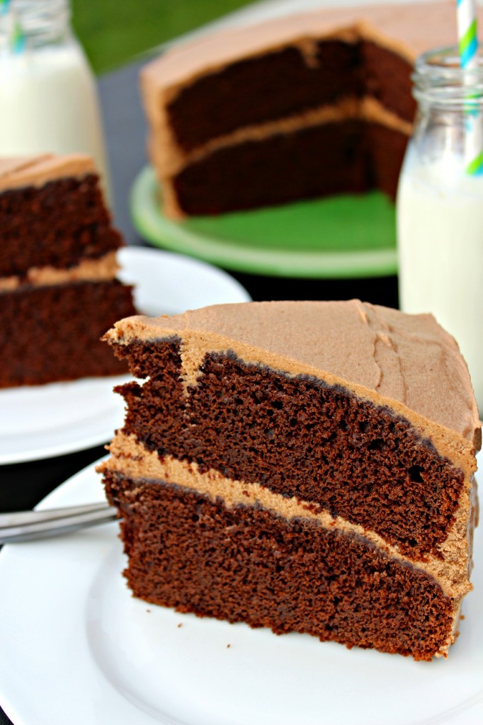 Coffee Lover's Chocolate Mocha Cake - The Complete Savorist