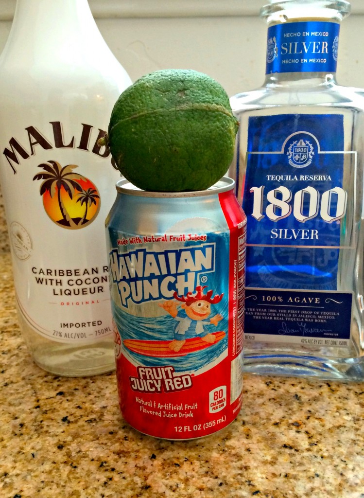 Ingredients for Tropical Mexican Punch ~ The Complete Savorist